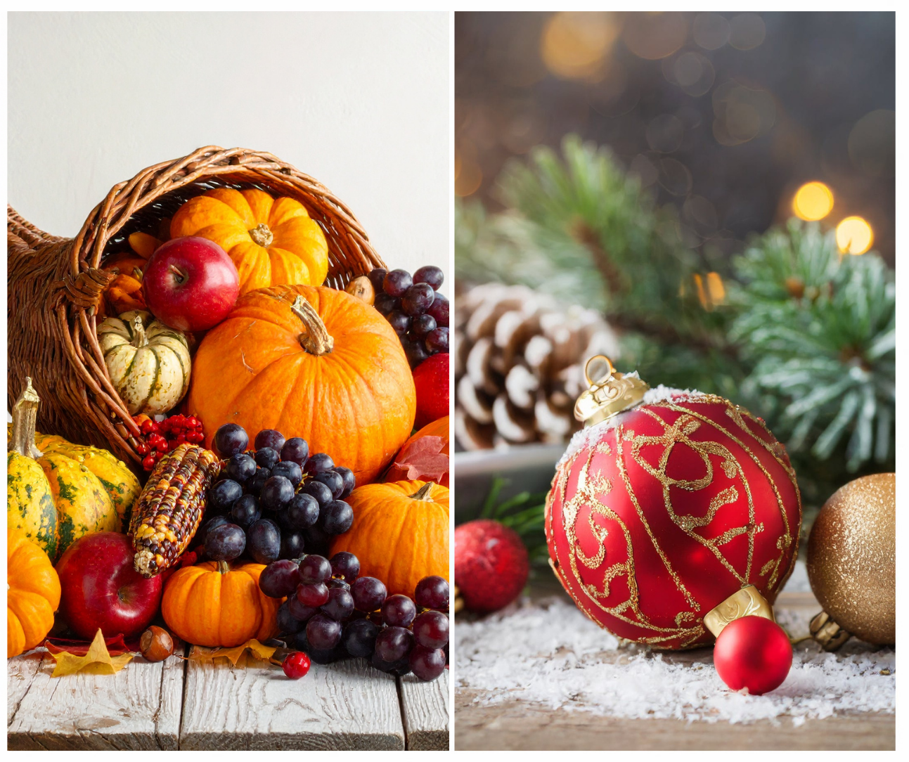 Last-Minute Thanksgiving and December Holiday Trips: What’s Still Bookable